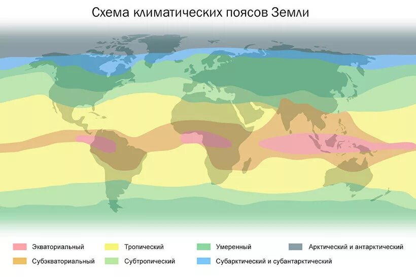 Тропическая зона земли