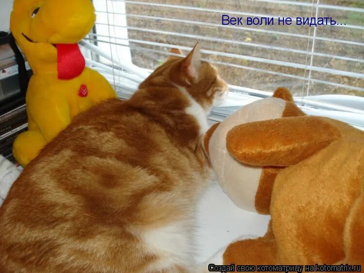 жест век воли не видать. песня век воли не видать. наколка век воли не видать. век воли не видать прикол. песня век воли не видать.