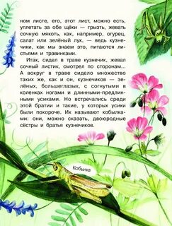 В траве сидело текст