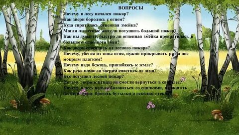 Летом в лесу 5 предложения