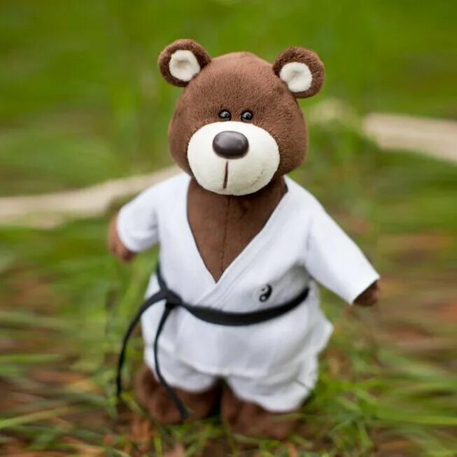 Медведь в кимоно. Боевая панда. Smash jiu jitsu панда. Джиу-джитсу ground shark. Мягкая игрушка каратист.