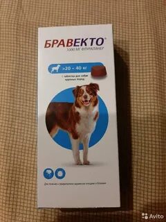 Эффективное средство от клещей для собак крупных