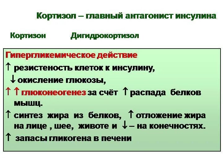 Основные функции кортизола. Кортизол. Кортизол функции гормона. Кортизол функции гормона. Кортизол регуляция секреции механизм действия.