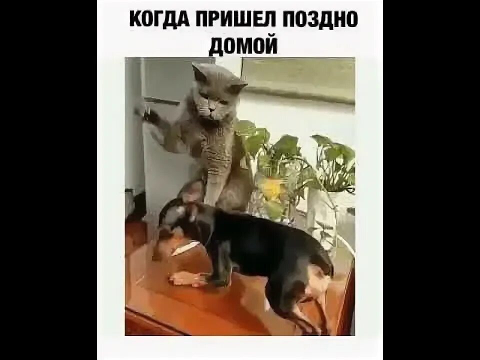 Сын поздно пришел домой. Приходить домой поздно. Муж пришел поздно. Когда пришла домой поздно. Жена пришла поздно.