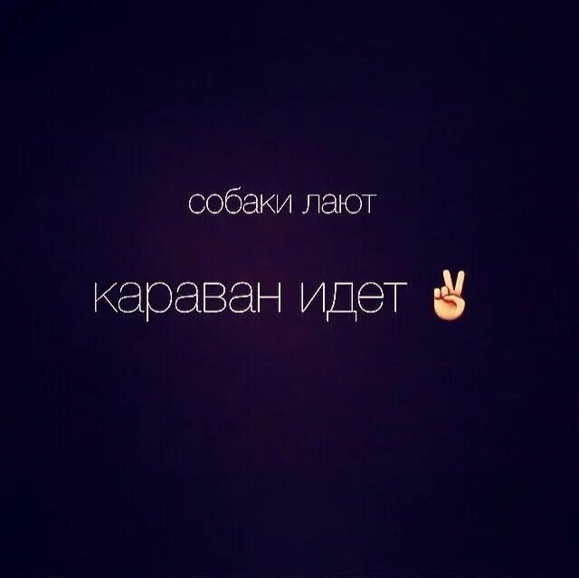 Собаки лают а достать не могут ответ. Собаки лают караван идет. сабаки лаию каравани идт. сабаки лаят корован мдкт. собаки воют корован идет.