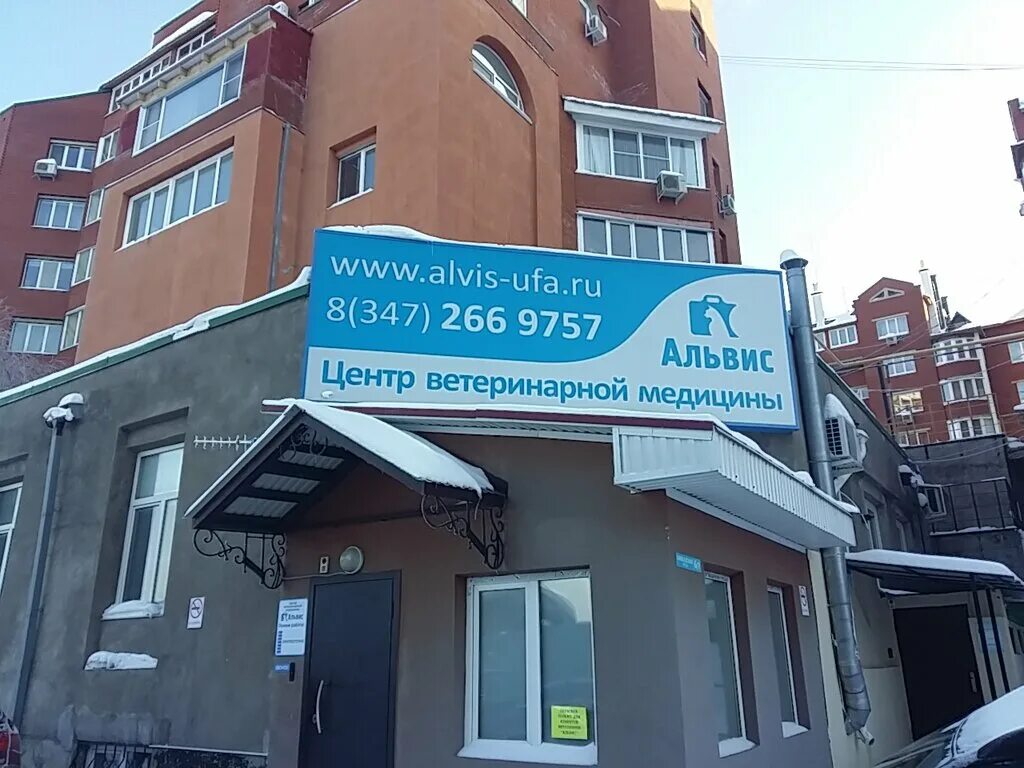 ветеринарная клиника уфа парк калинина. Animals ветеринарная клиника уфа. левитана 14/4 дема. ветеринарная клиника менделеева 162/3 уфа. ветстанция уфа менделеева.