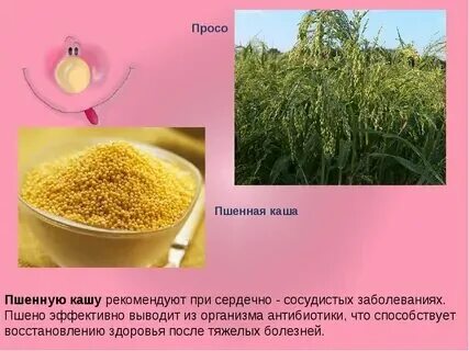 Чем полезна пшенное молоко