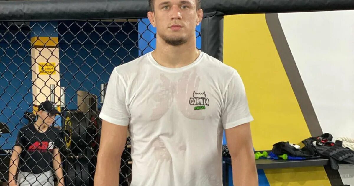 Усман нурмагомедов и. Усман нурмагомедов bellator. Усман нурмагомедов. Усман нурмагомедов. Усман нурмагомедов питбуль.