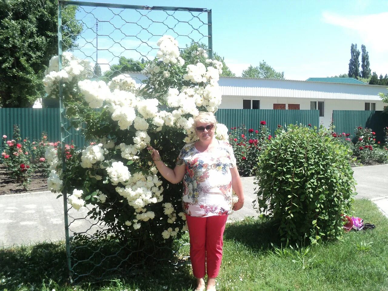 Светлана Васильева, 48 лет, Казань, Россия