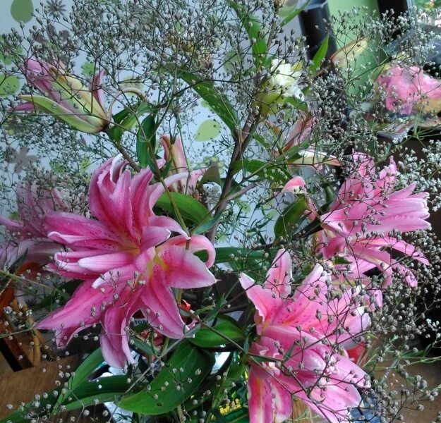 Лилия брокен харт описание. Лилия брокен харт. лилия махровая брокен харт. лилия восточная брокен харт. лилия восточная махровая брокен харт.