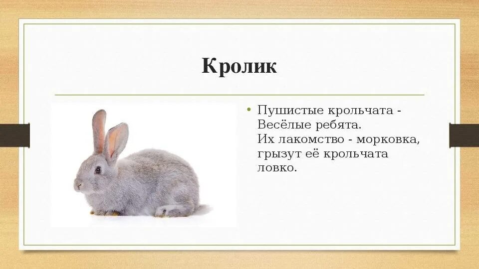 Текст из азбуки. Стишок про кролика. Стиль плавания кроль брасс. Стиль плавания кроль брасс. Стихотворение про кролика.
