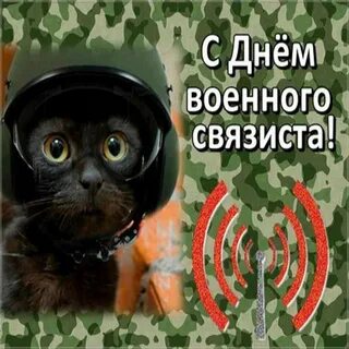 День связиста прикол