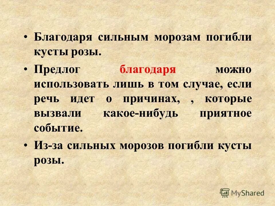 Вагинальные таблетки с блестками. Благодаря которым можно будет. Watering flowers. Полив чеснока. Удобрения на грядке.
