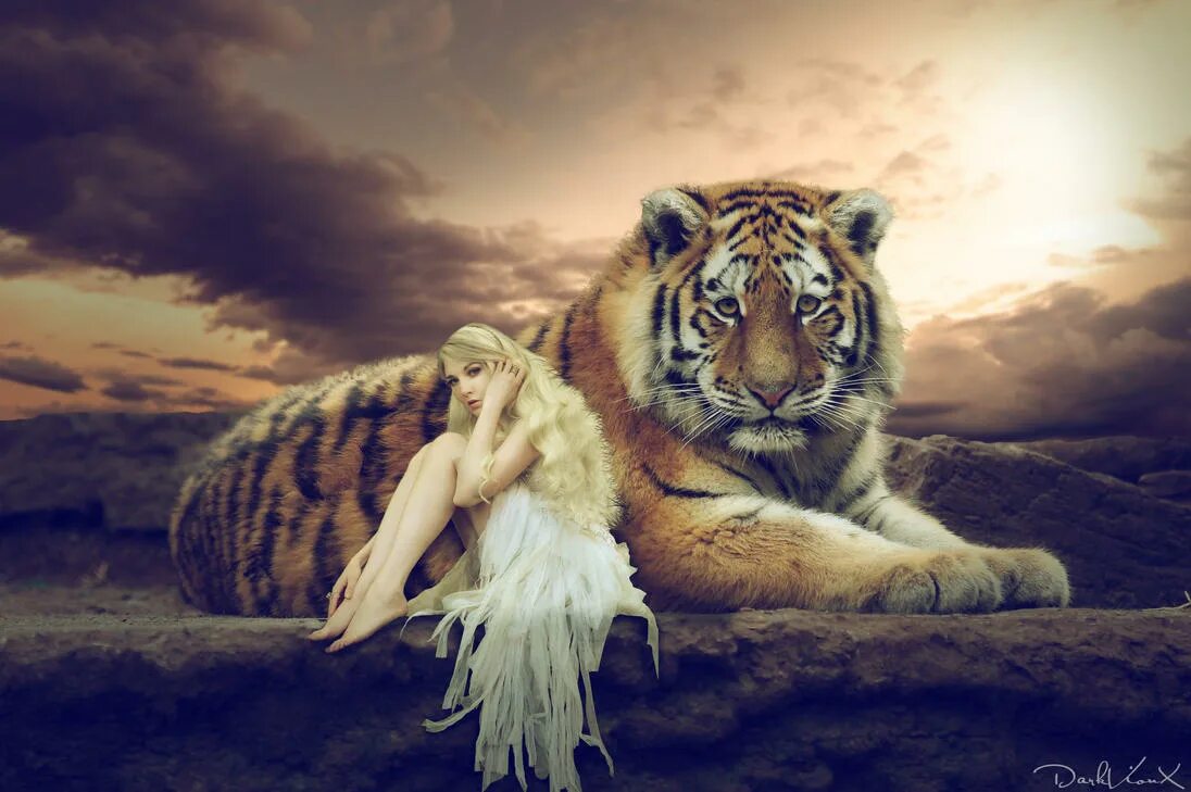 Лев и водолей. Знак водолея и льва. Водолей тигр женщина. Знаменитости водолеи по гороскопу женщины 2020. Характер тигра по гороскопу.