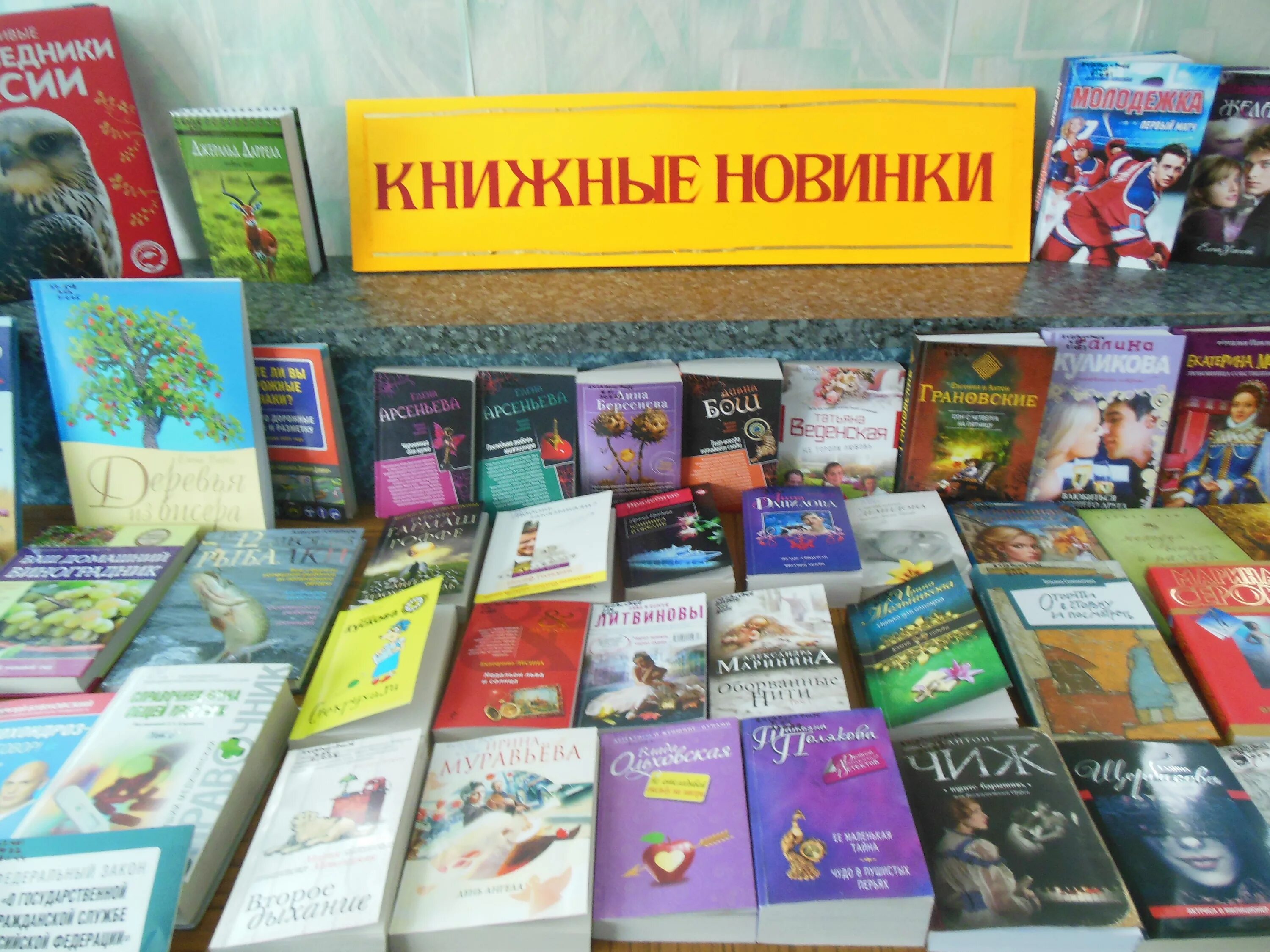 Новинки в мире книг. Книжные новинки. Книга библиотека. Современная книжная выставка. Новые книги в библиотеке.