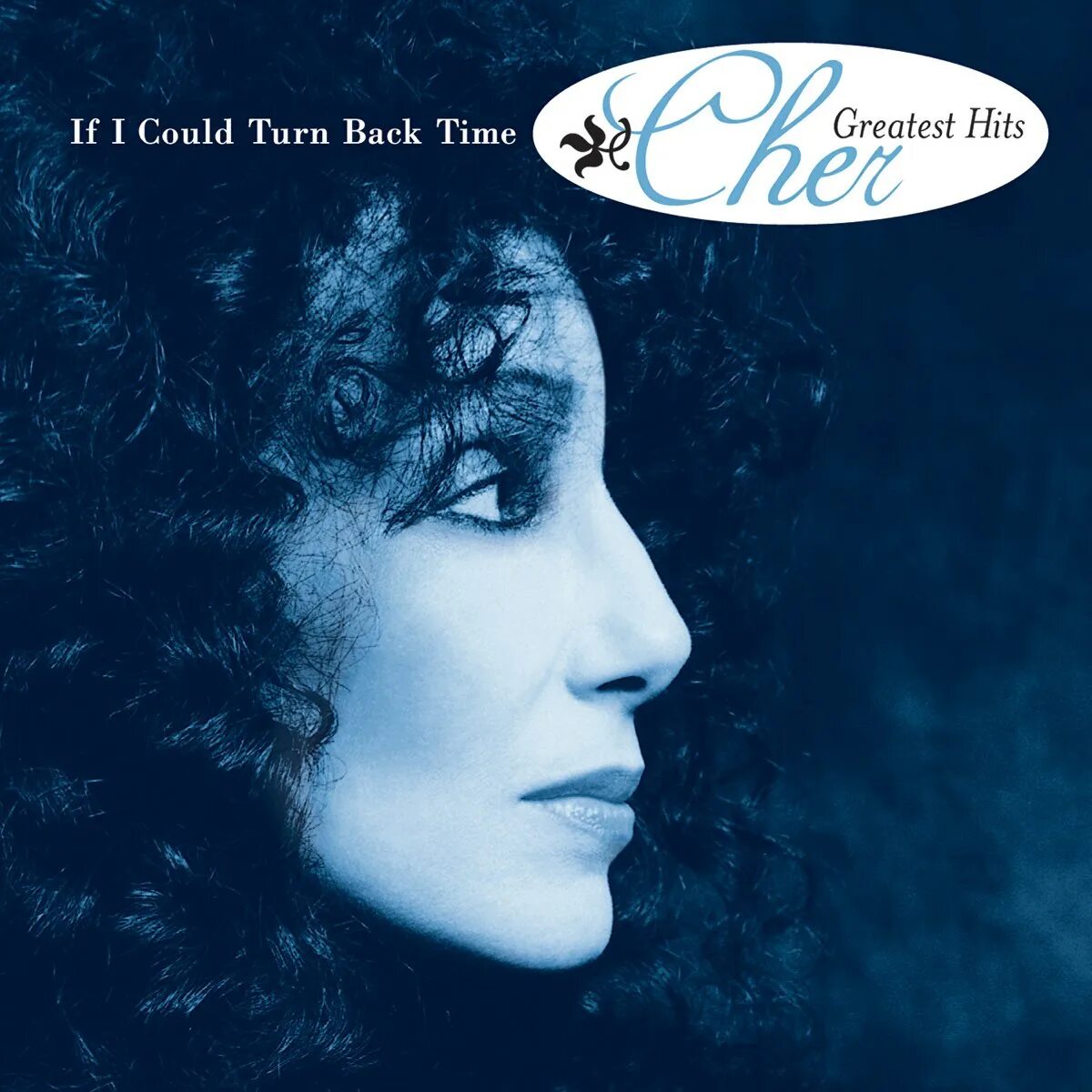 If i could turn back. Шер if i could. cher if could turn back time. sher обложка. обложка альбома cher - if i could turn back time: cher&#039;s greatest hits (1999).