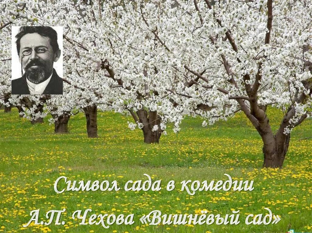 Символ сада в комедии вишневый сад. Символы в Вишневом саде. Чехов а. "вишневый сад". Жизнь и сад чехова