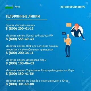 Телефон горячей линии хмао