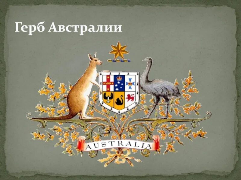 Какой символ австралии