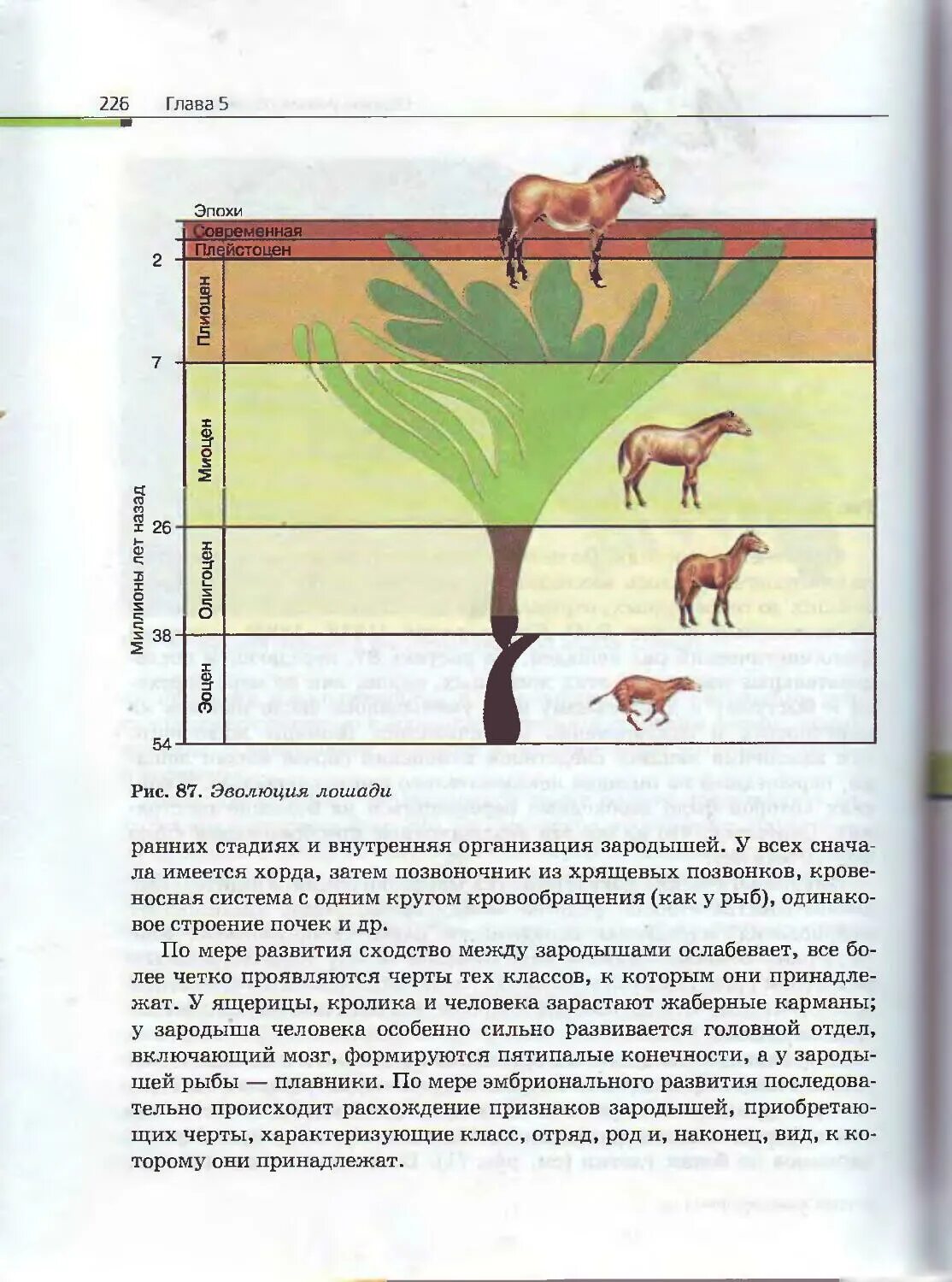 Пасечник 11 класс биология углубленный. Биология 11 класс Пасечник. Учебник биология 11 кл Пасечник. Учебник по биологии за 10 класс Пасечник. Биология. 11 Класс. Учебник..