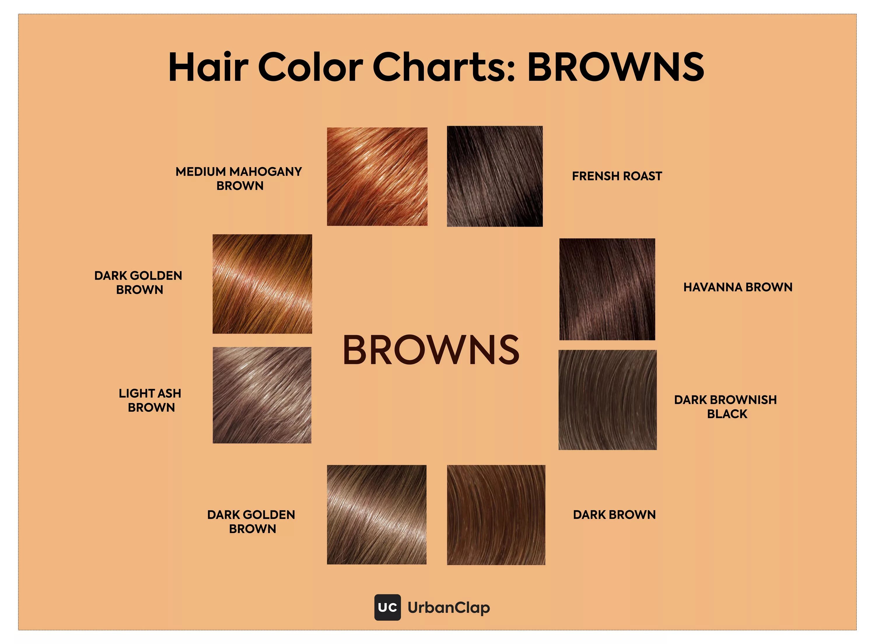 Brown какой цвет. Medium Brown цвет волос. Оттенки коричневых волос с названиями. Golden Brown цвет волос. Medium Ash Brown цвет волос.