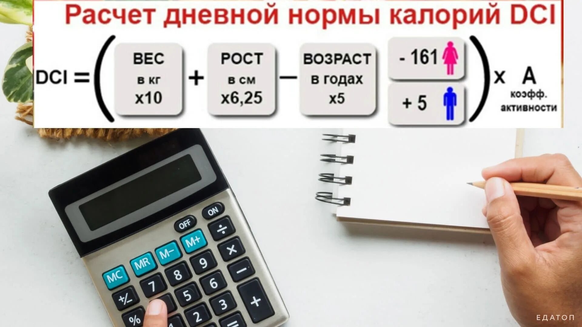 Сколько есть чтобы похудеть калькулятор. Калькулятор. калькулятор дневной нормы калорий. калькулятор расчета калорий. калькулятор снижения веса.