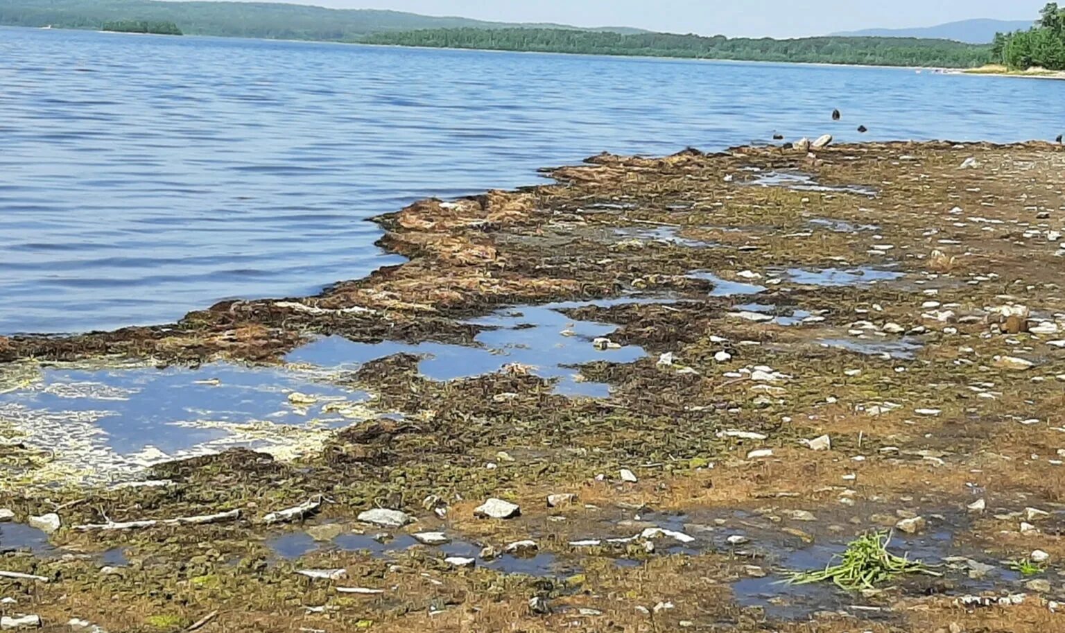 Озеро Чебаркуль городской пляж