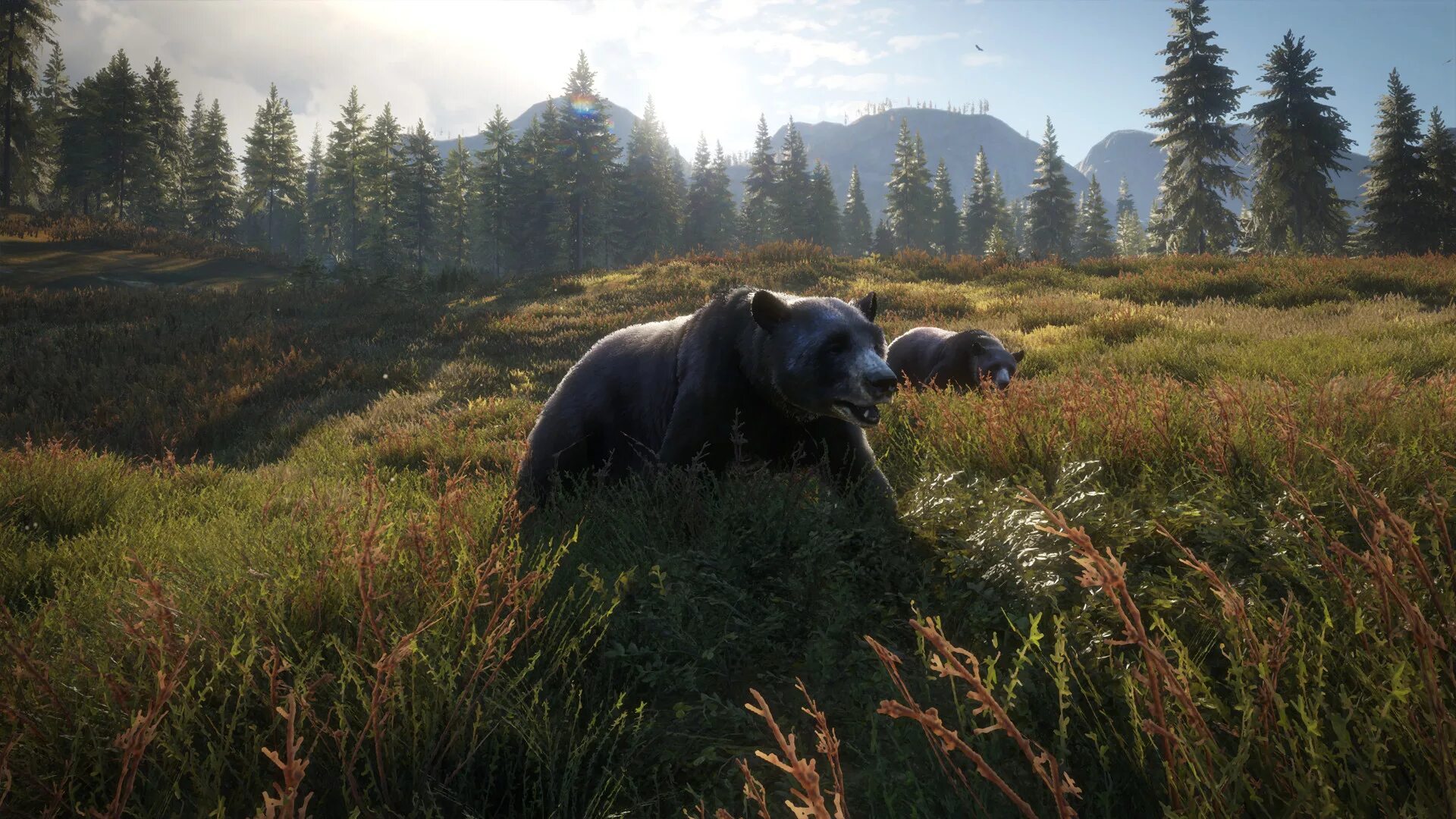 The hunter call of the wild мод. The hunter call of the wild. call of the wild игра. игра охота the hunter call of the wild. the hunter call of the wild 2.