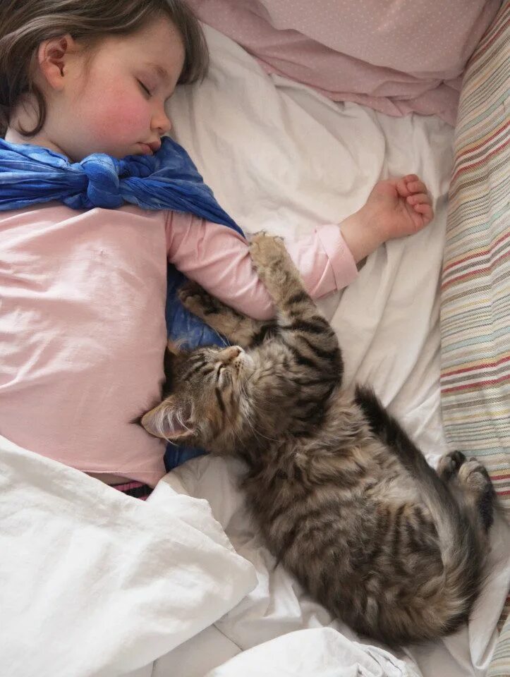 Поможем кошечке. Фелинотерапия. Животные с аутизмом. Девочка любит кошку.