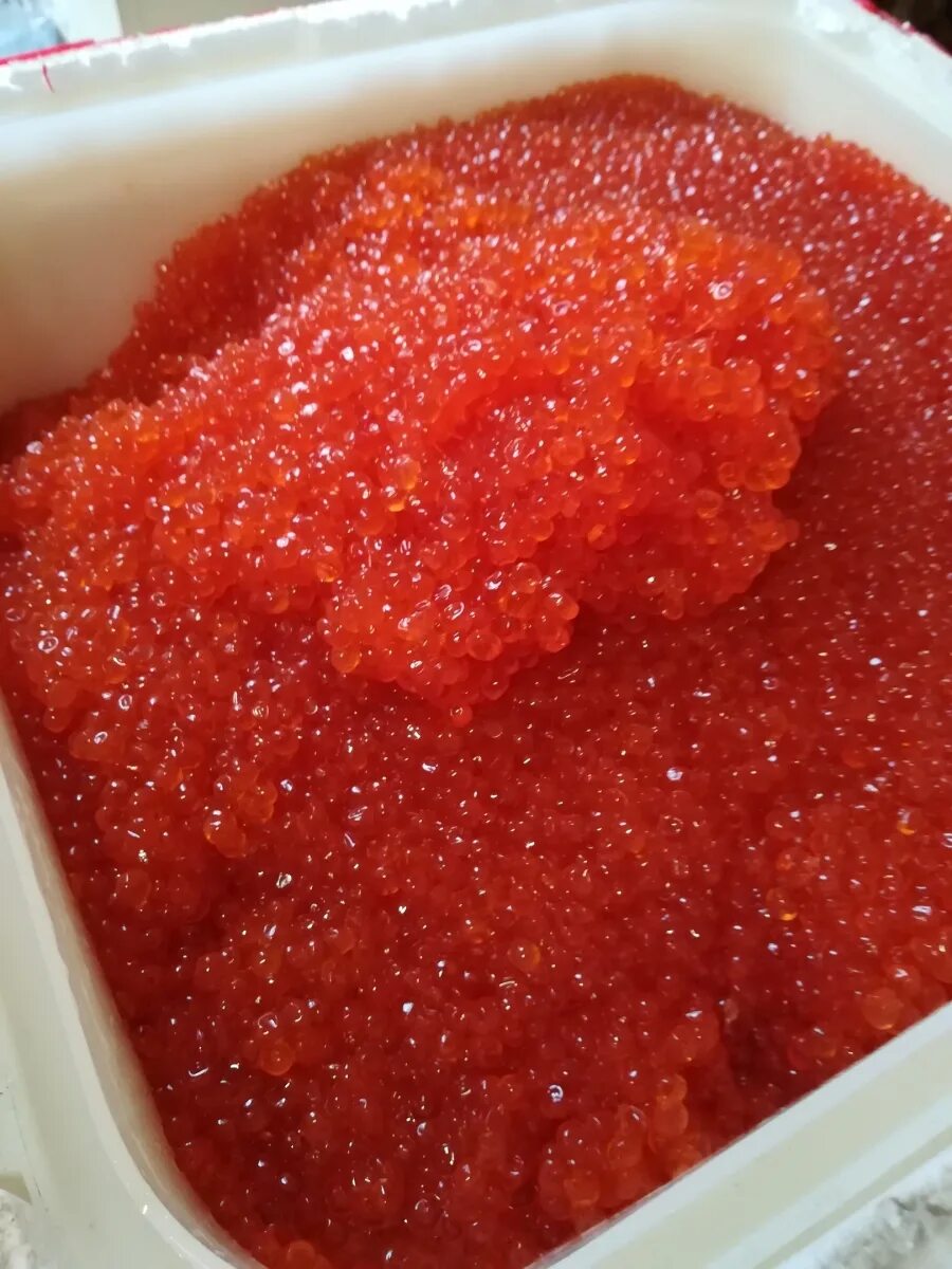 Кета кижуч икра. Красная икра горбуша камчатская. икра горбуши камчатка. икра нерки камчатская. красная икра кеты.