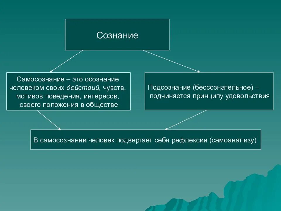 Сознание как человеческое в человеке. Сознание и самосознание. Понятие и структура самосознания. Самосознание и личность в философии. Понятие бессознательного в философии.