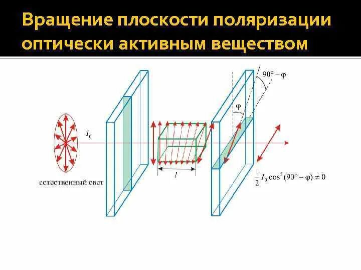 Вращение плоскости поляризации света. Явление вращения плоскости поляризации оав. вращение плоскости поляризации оптически активными веществами. вращение плоскости колебаний поляризованного света.