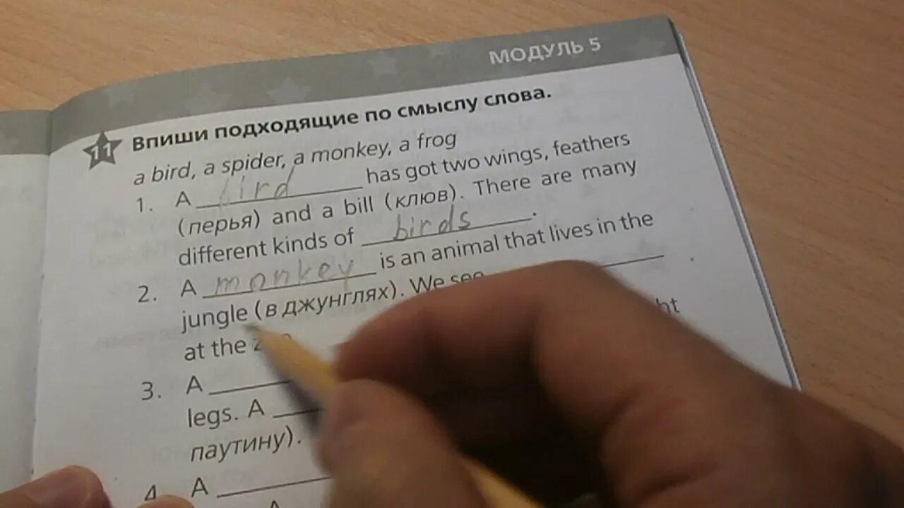 Английский 2 класс страница 85 упражнение 3. Звёздный английский 2 класс сборник упражнений. Сборник Звездный английский 2 класс ответы. Звёздный английский 2 класс сборник упражнений ответы. Звездный английский 2 класс модуль 2.