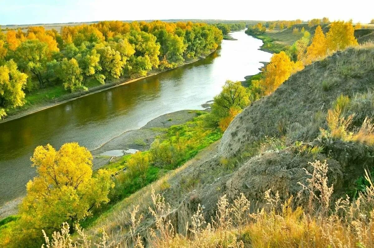 Родной край омская область. Родной край омск. Родной край омск. Река омь омская область. Природа нашей родины.