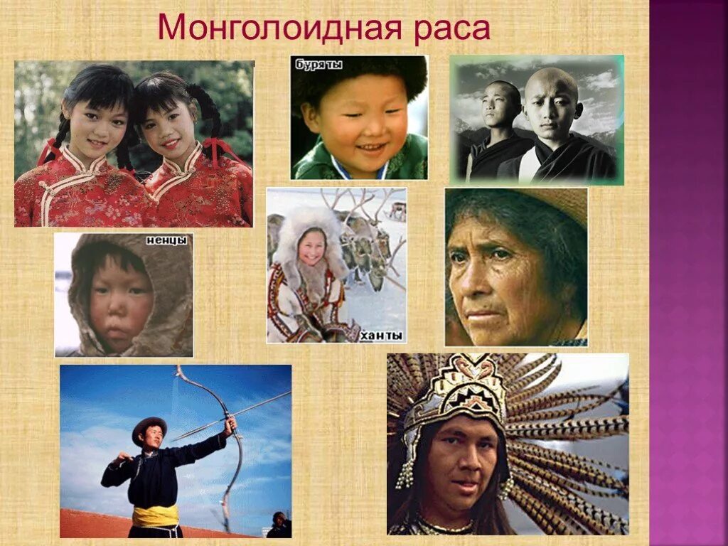 Какие губы у монголоидной расы. Представители монголоидной расы.