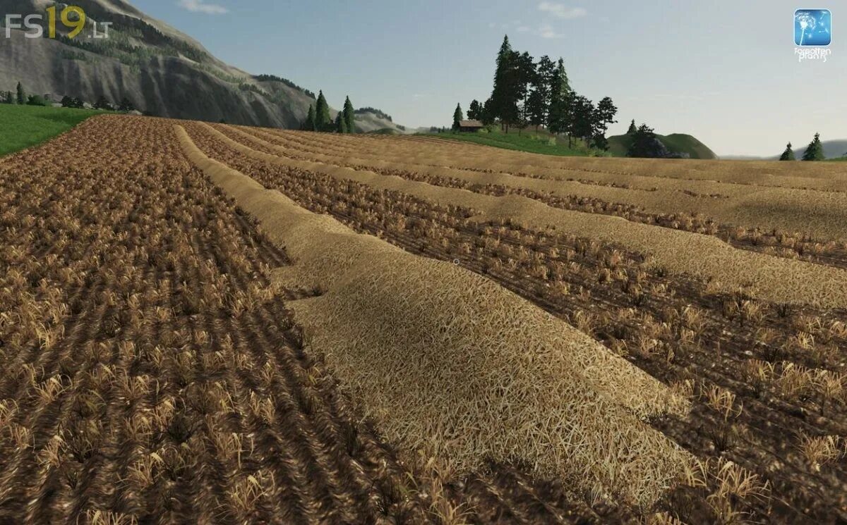 Мод фс 19 текстуры. Farming simulator 19 пшеница. земли fs19. рапс фс 19. текстуры ячменя фс19.