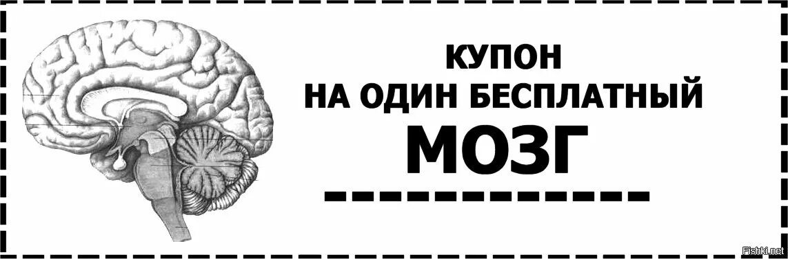 Мозги попал. Купон на бесплатный мозг. Купон на мозги. Купон на один бесплатный мозг для распечатки. Купончик на один бесплатный мозг.