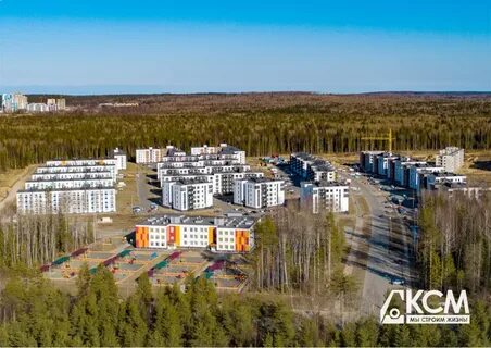 Петрозаводск поле