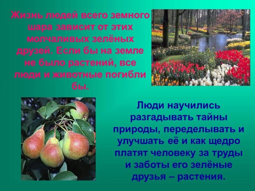 Жизнь растений том 3. Плодоводство окружающий мир. Плодоводство 3 класс. Рассказ о растениеводстве. Окружающий мир Плодоводство проект.