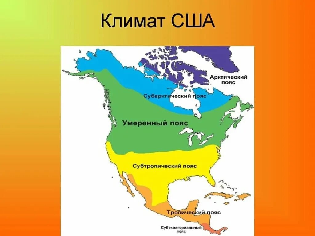 Подпишите все разновидности умеренного