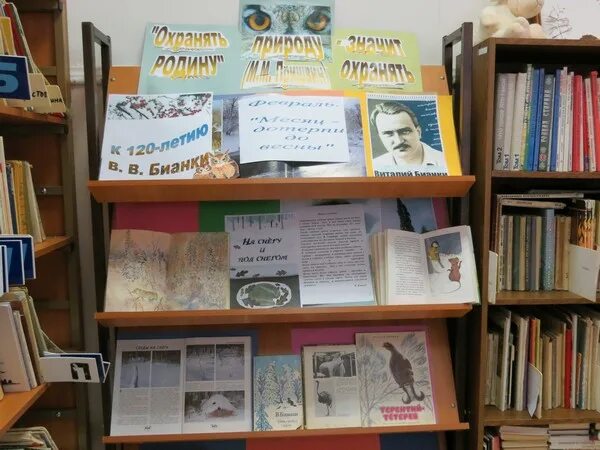 книжная выставка бианки. выставка по бианки в библиотеке. заголовок выставки бианки. книжная выставка по бианки в детской библиотеке. заголовок выставки бианки.