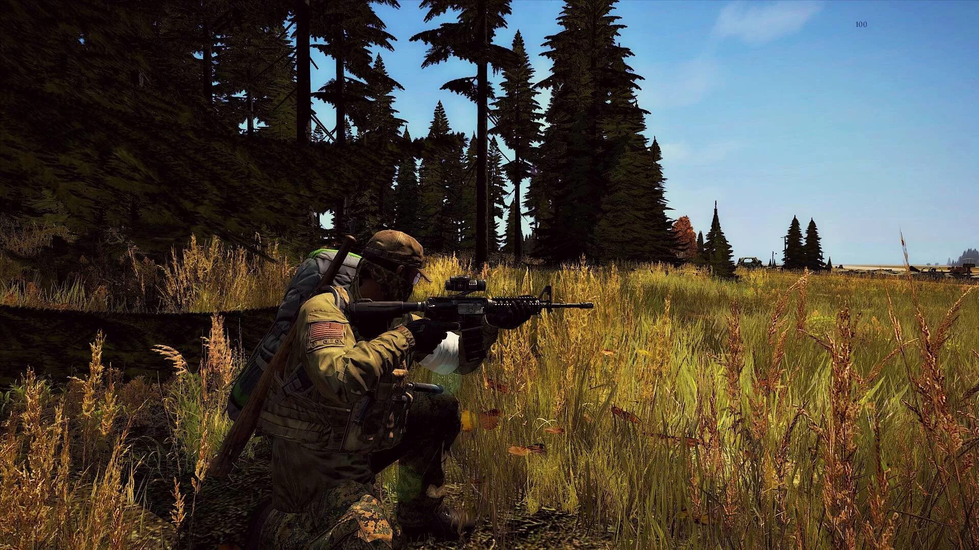 DAYZ Standalone. DAYZ картинки. DAYZ Standalone одиночная игра. DAYZ обои. Отвага дейз