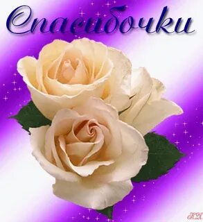 Picture background
