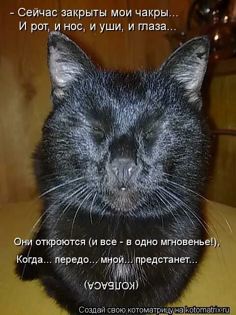 а ты закрыл заявки. закрывай сейчас. закрывай сейчас. мемы про аркадия. закрывай сейчас.