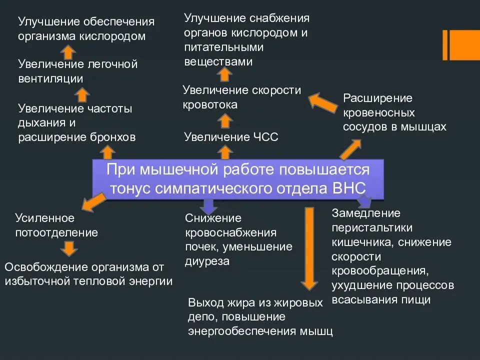 Изменения которые происходят в современном. Функциональные изменения при физических нагрузках. Физиологические изменения при физических нагрузках. Функциональные изменения при физической нагрузке схема. Изменение гормонов при физической нагрузке.