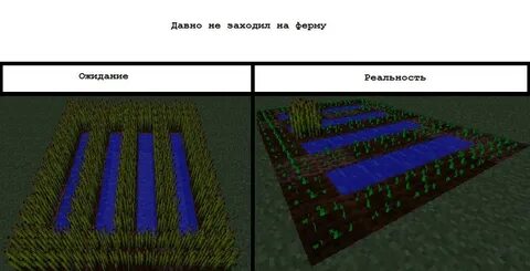 Как построить ферму эндерменов