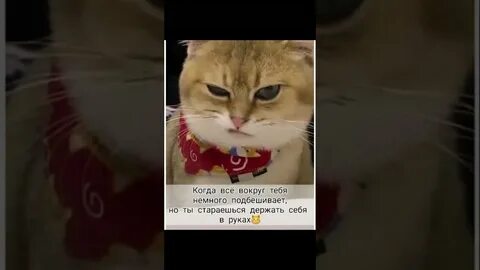 Немного держать