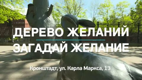 Загадать желание дереву