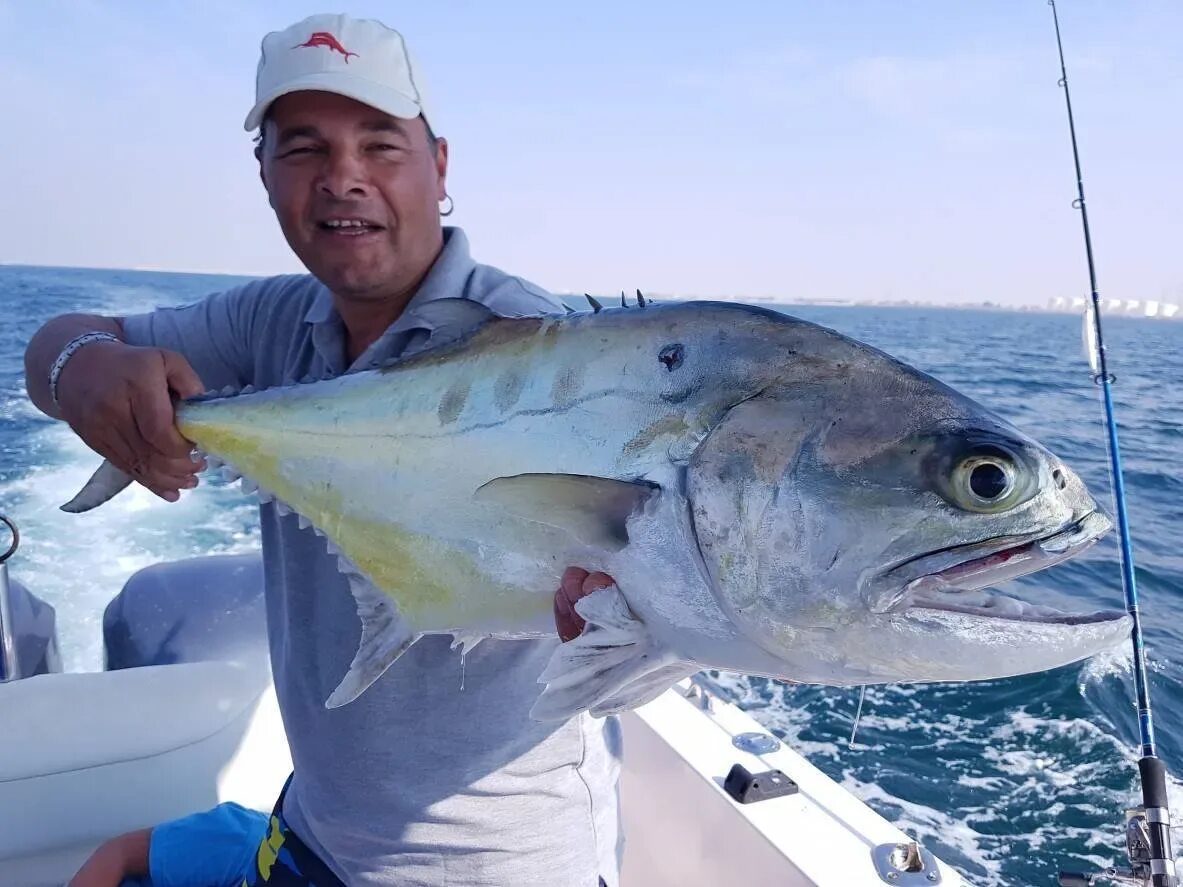 Рыбы персидского залива. Рыбалка в персидском заливе. Рыбы в ОАЭ. Рыболовство в ОАЭ.