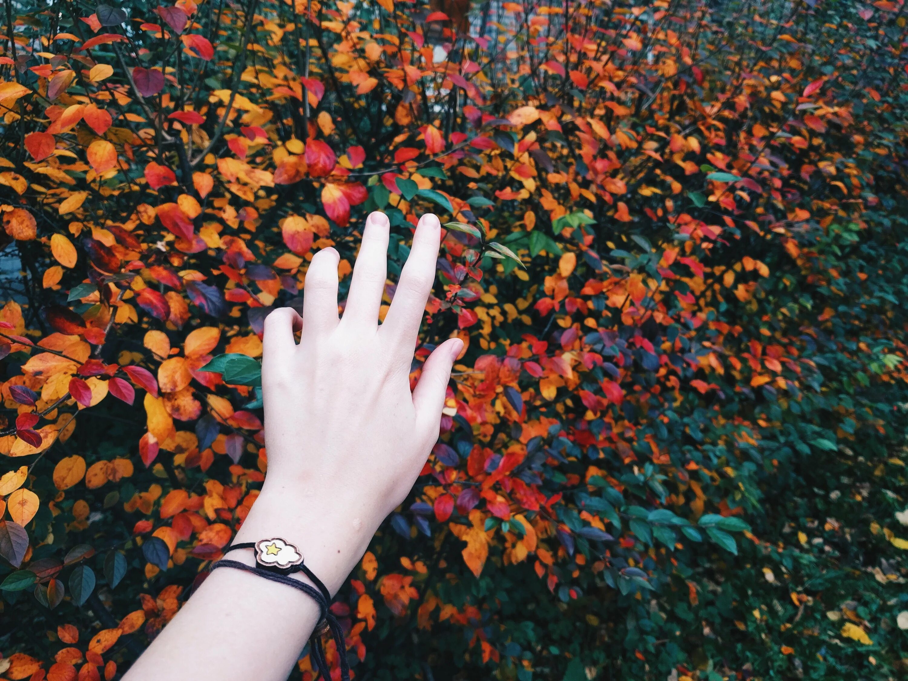 Осень Эстетика. Руках листва. Осенние листья в руках девушки. Осень и женские руки.